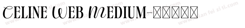 Celine Web Medium字体转换